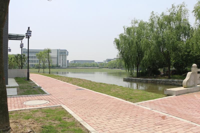 调整大小 IMG_6133.JPG