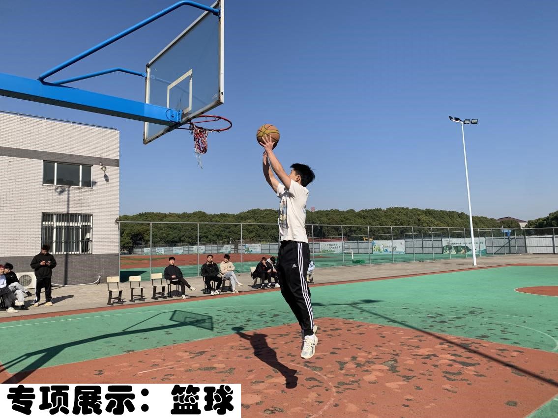 专项展示：篮球2.jpg